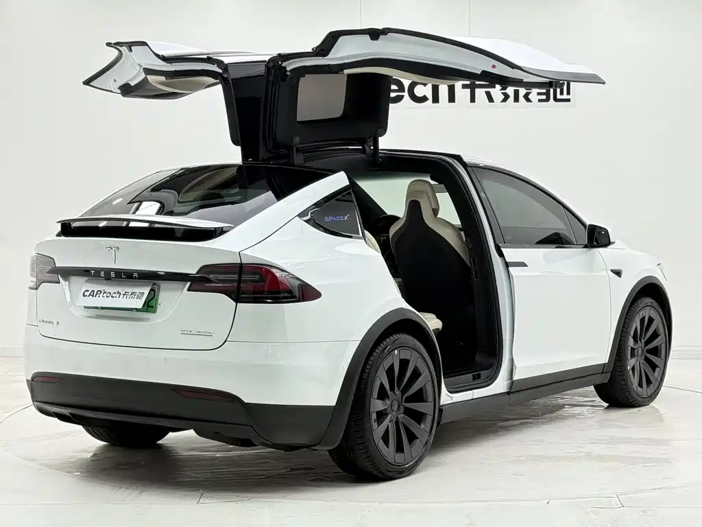 Tesla Model X 2019 — фото 9