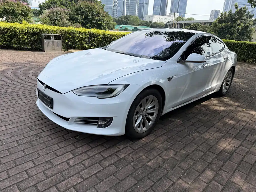 Tesla Model S 2019