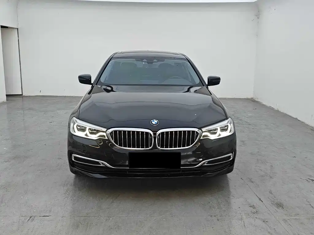 BMW 5 Series New Energy 2020