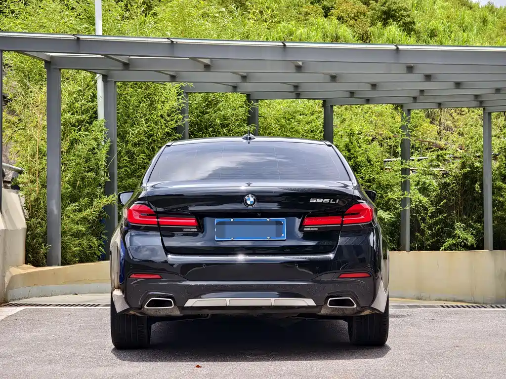 BMW 5 Series 2021