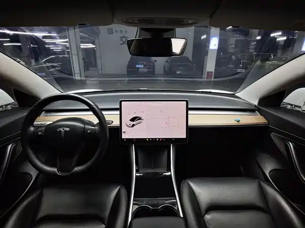 Tesla Model 3 2020