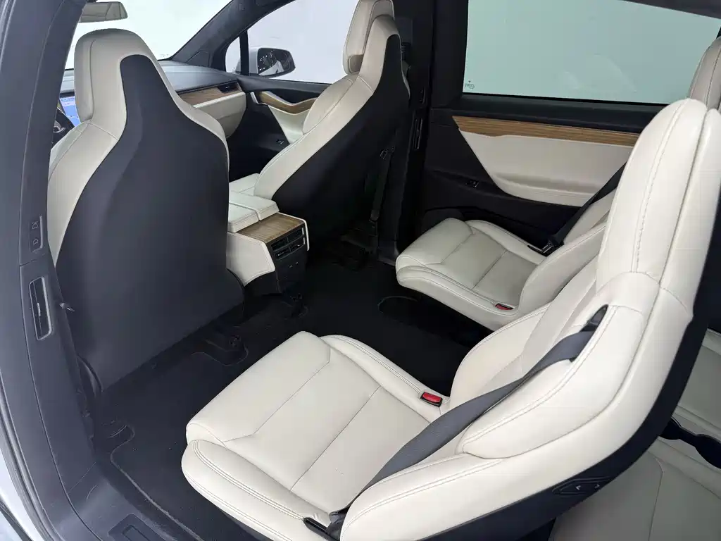 Tesla Model X 2019 — фото 16