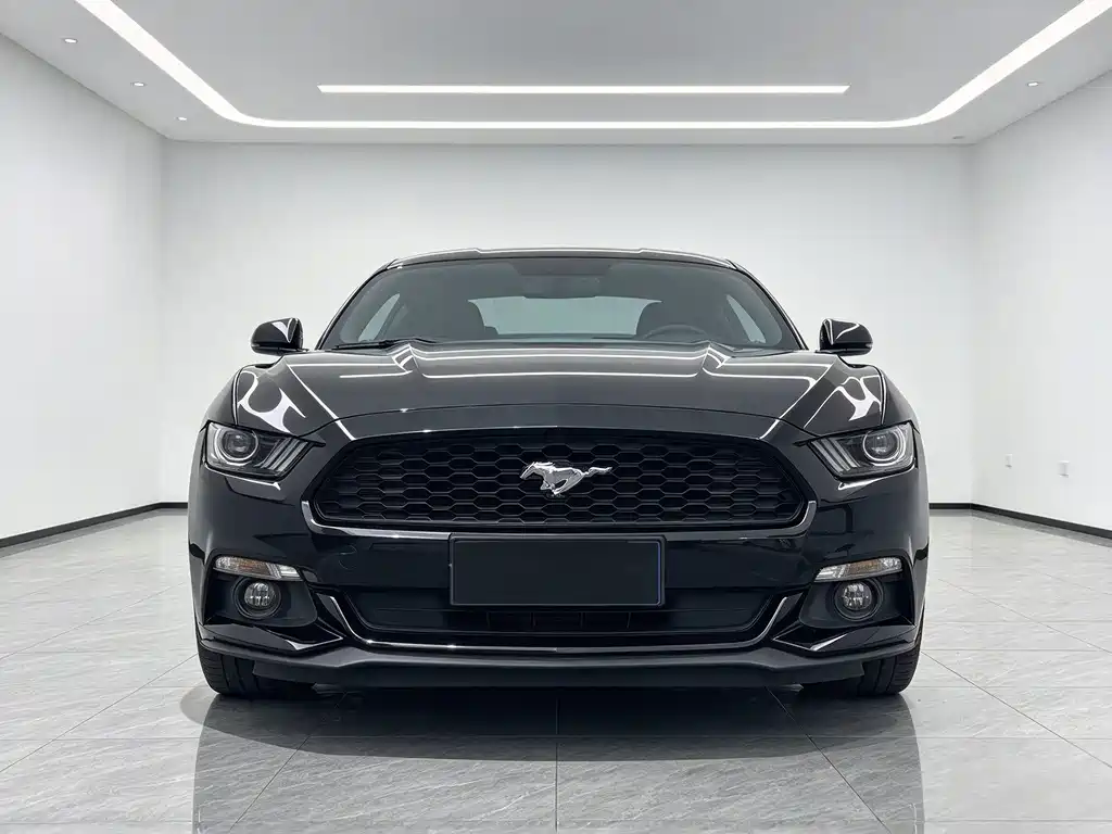 Ford Mustang 2017 — фото 2