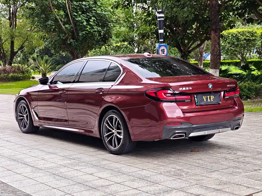 BMW 5 Series New Energy 2021 — фото 17