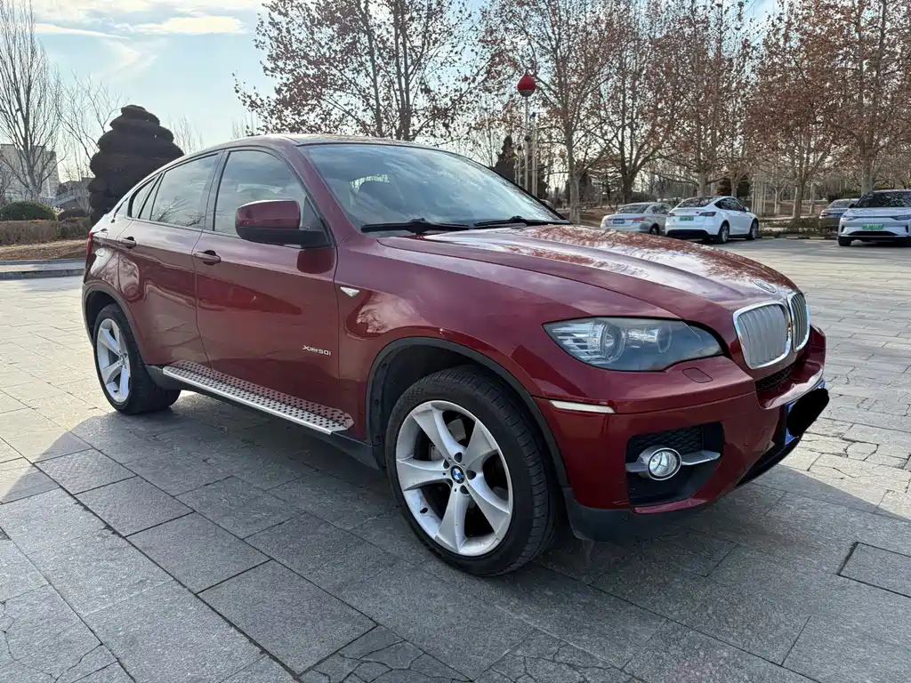 BMW X6 2009 — фото 3