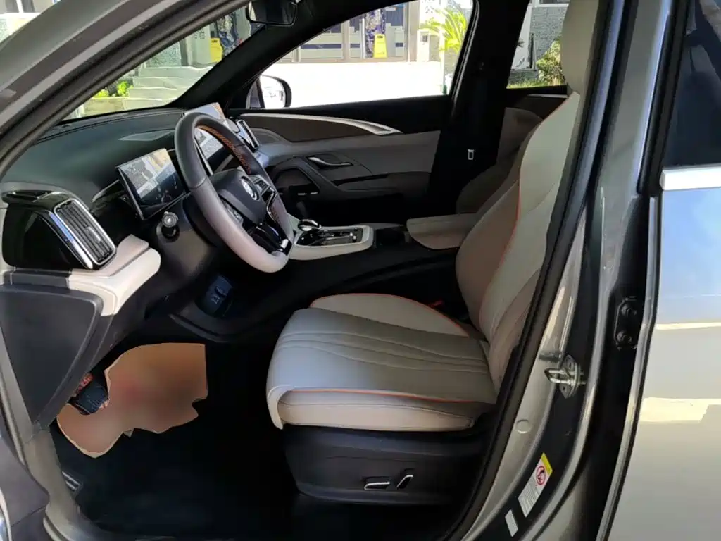 BYD Song Pro New Energy 2024 — фото 15