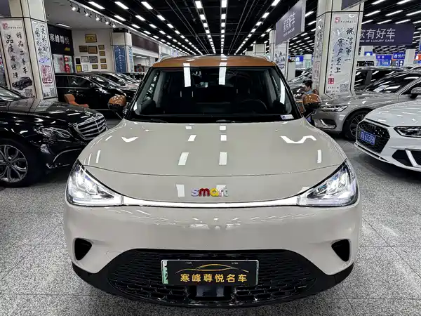 smart #1 2025