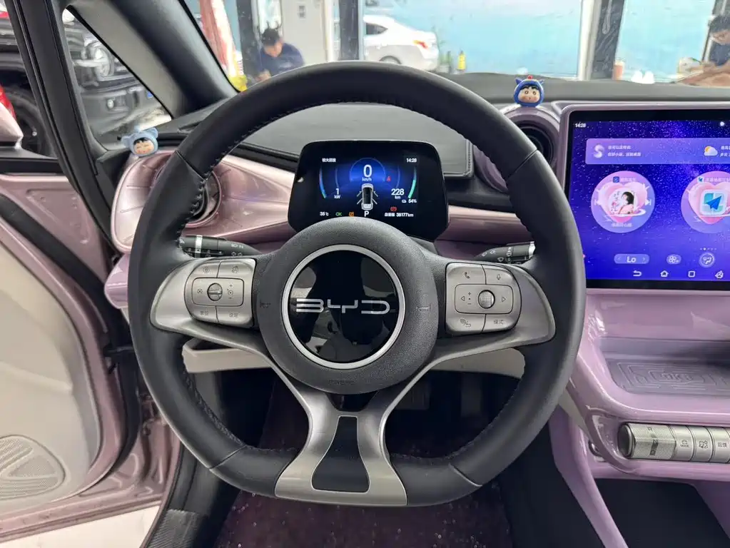 BYD Dolphin 2024 — фото 10