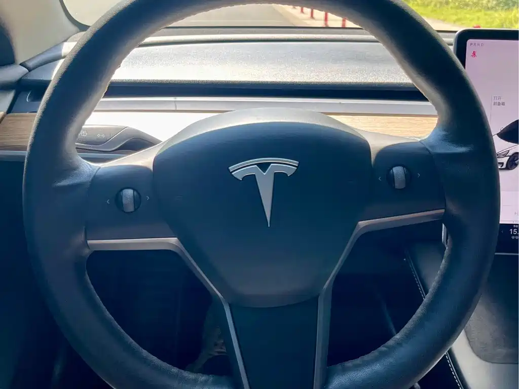 Tesla Model 3 2021 — фото 18