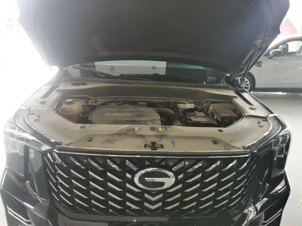 GAC Motor Trumpchi GS8 2023 — фото 16