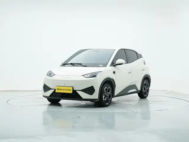 BYD Seagull 2025