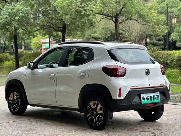 Dongfeng Nano BOX 2024