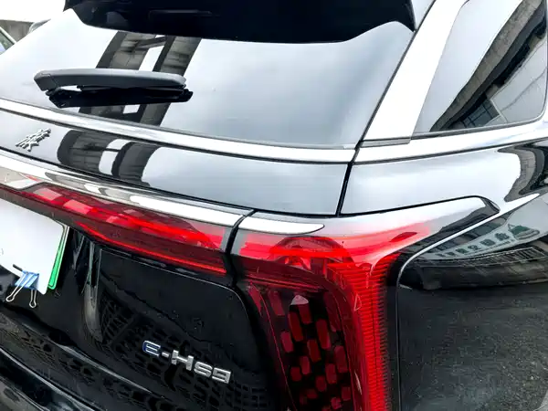 Hongqi E-HS9 2021