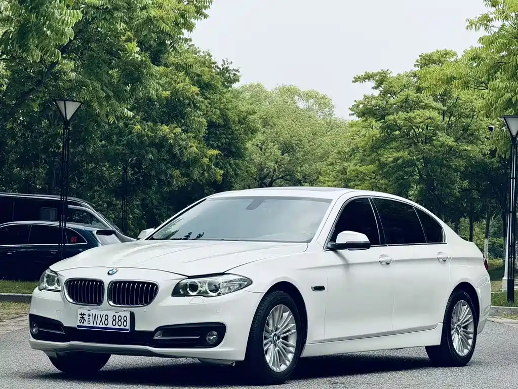 BMW 5 Series 2014 — фото 1