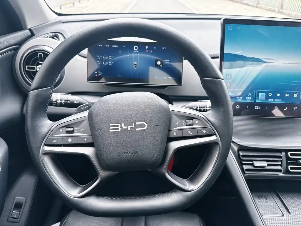 BYD Sealion 05 DM-i 2025 — фото 12