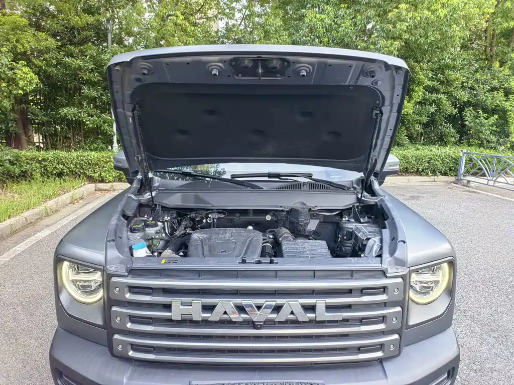 Haval Raptors New Energy 2024 — фото 17