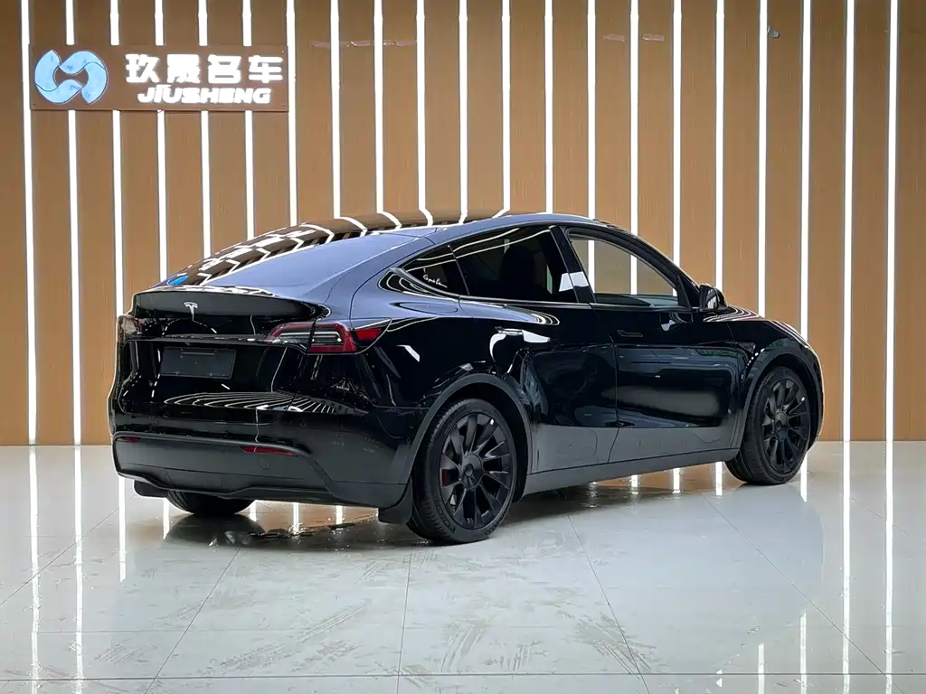 Tesla Model Y 2023 — фото 16