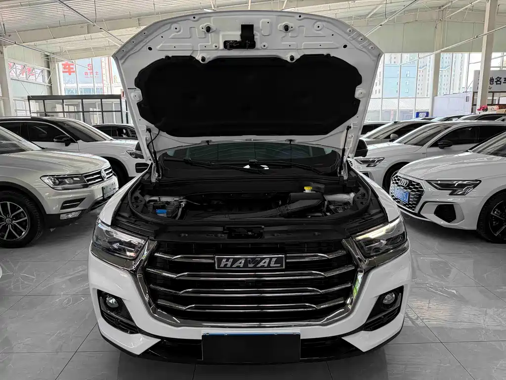Haval H6 2023 — фото 20