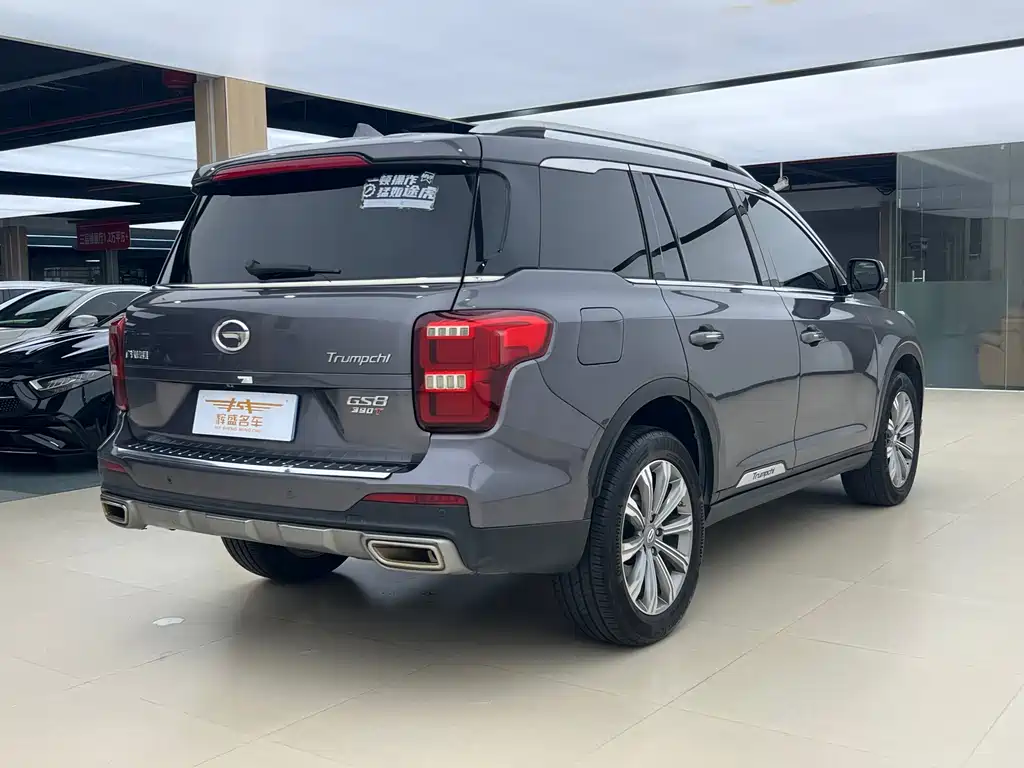 GAC Trumpchi GS8 2020 — фото 25