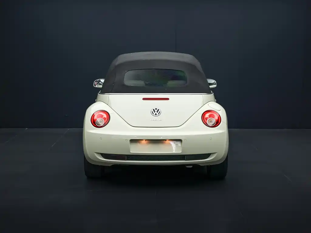Volkswagen Beetle 2010