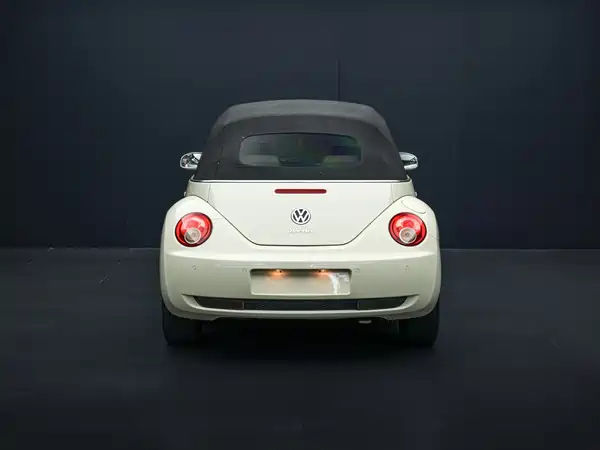 Volkswagen Beetle 2010