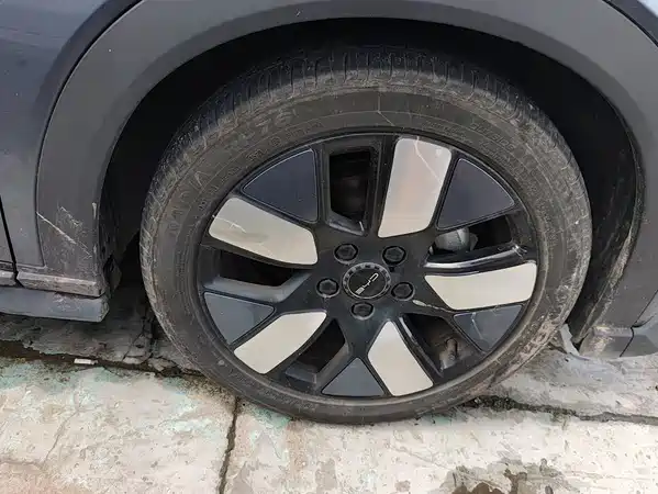 BYD Dolphin 2023