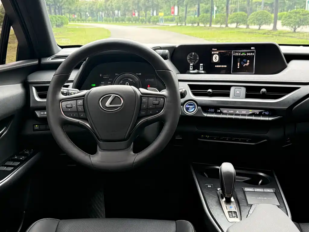 Lexus UX New Energy 2020 — фото 16