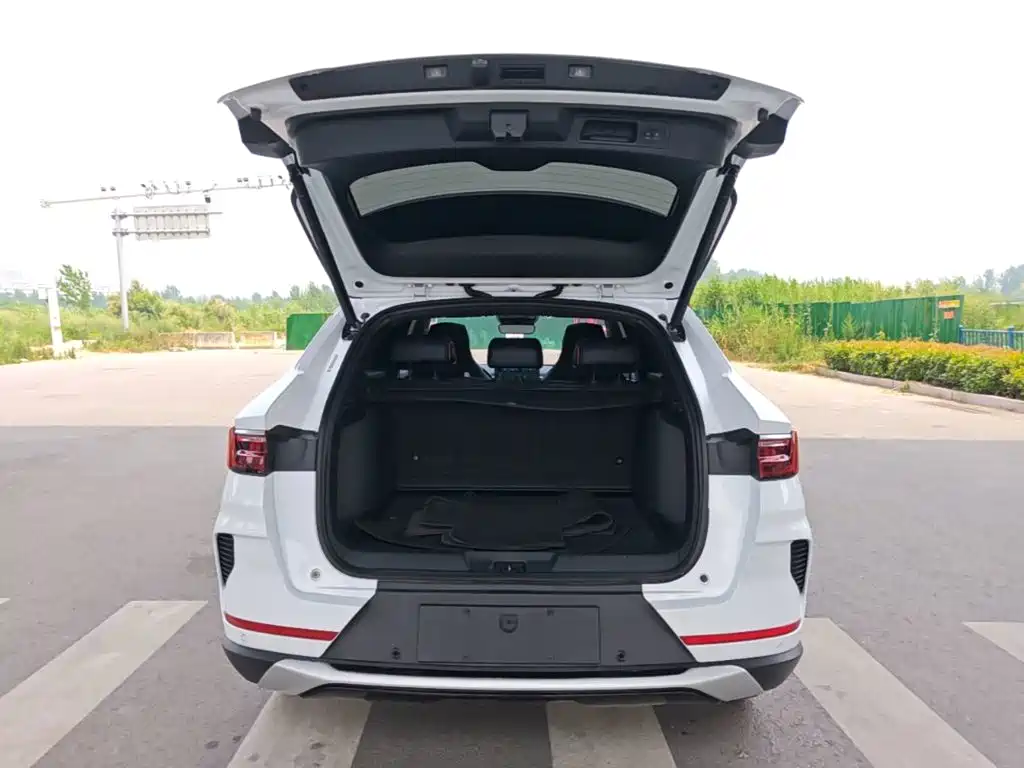 BYD Song PLUS New Energy 2022 — фото 19