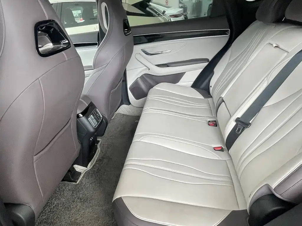 BYD PLUS New Energy 2025 — фото 11