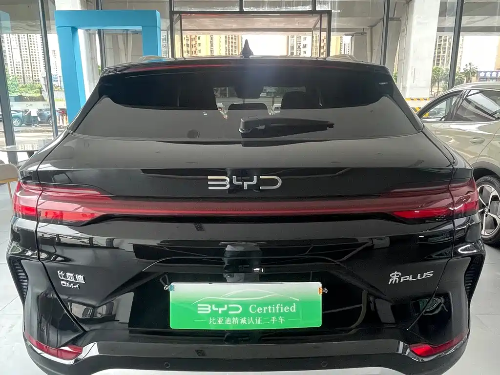 BYD PLUS New Energy 2025 — фото 15
