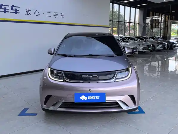 BYD Dolphin 2022