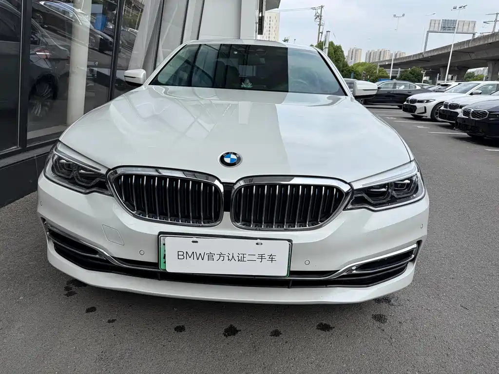 BMW 5 Series New Energy 2019
