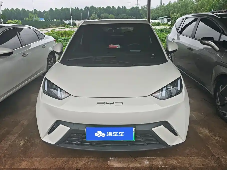BYD Seagull 2024