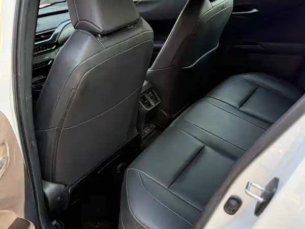 Lexus UX New Energy 2022