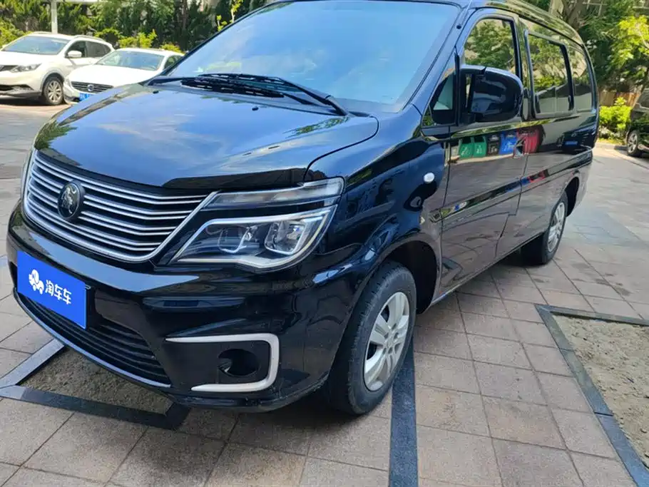 Fengxing Lingzhi 2022