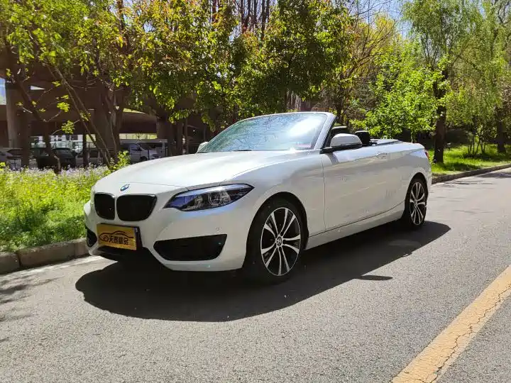 BMW 2 Series 2020 — фото 1