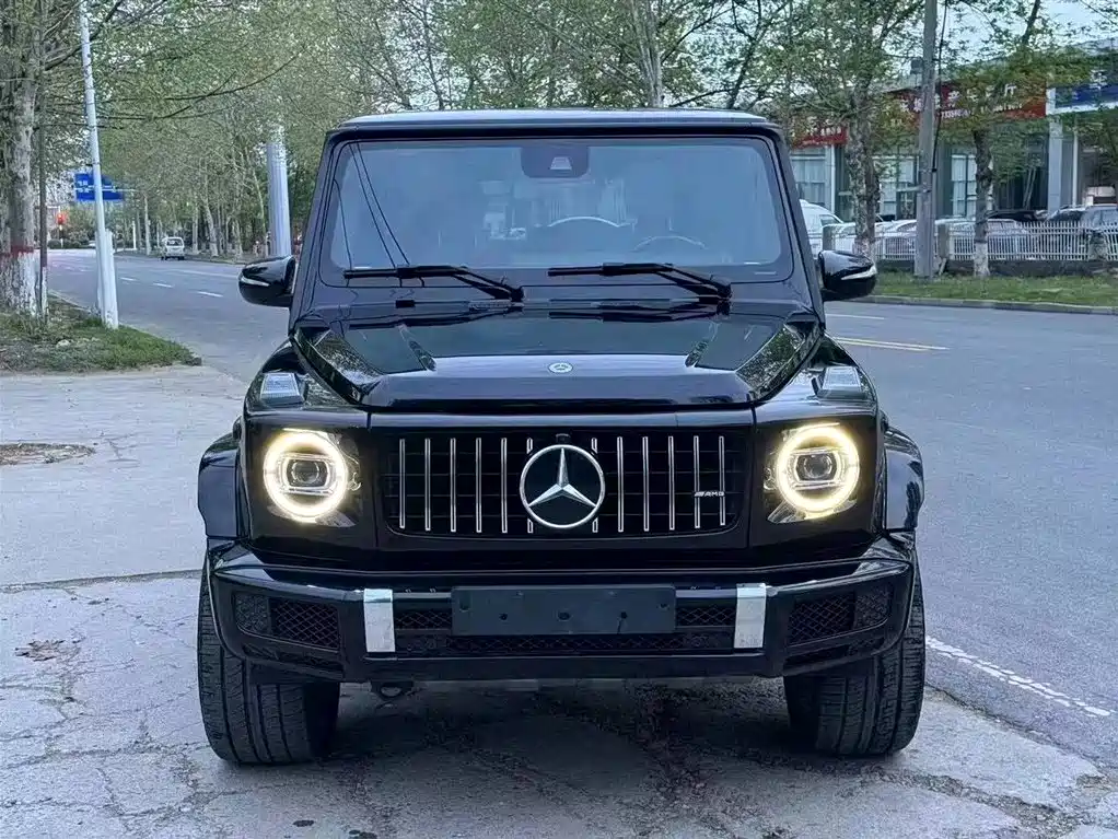 Mercedes-Benz G-Class 2019 — фото 2