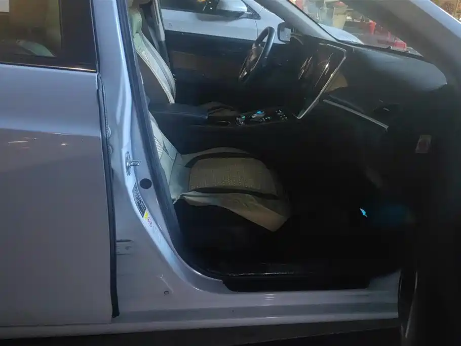 BYD Qin NEV 2018 — фото 8