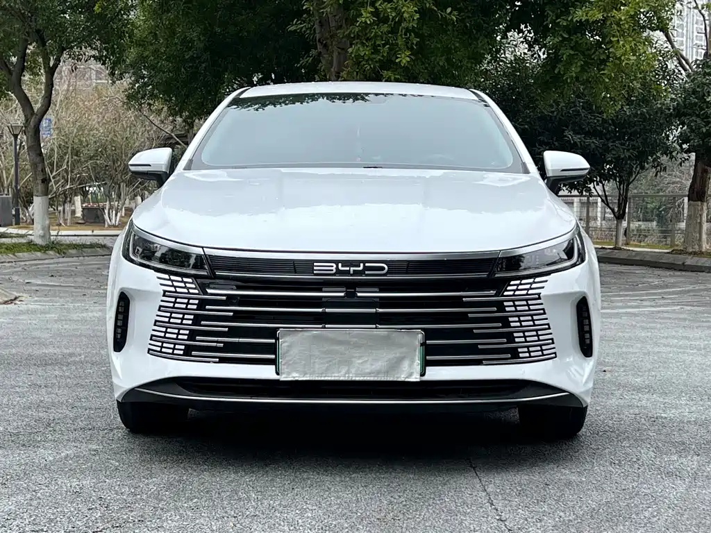 BYD Destroyer 05 2023 — фото 2