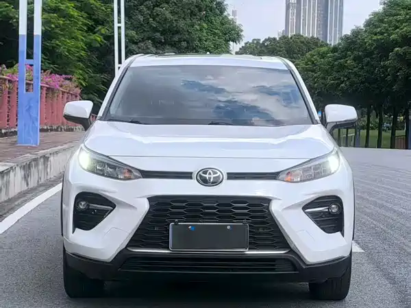 Toyota Wildlander 2021