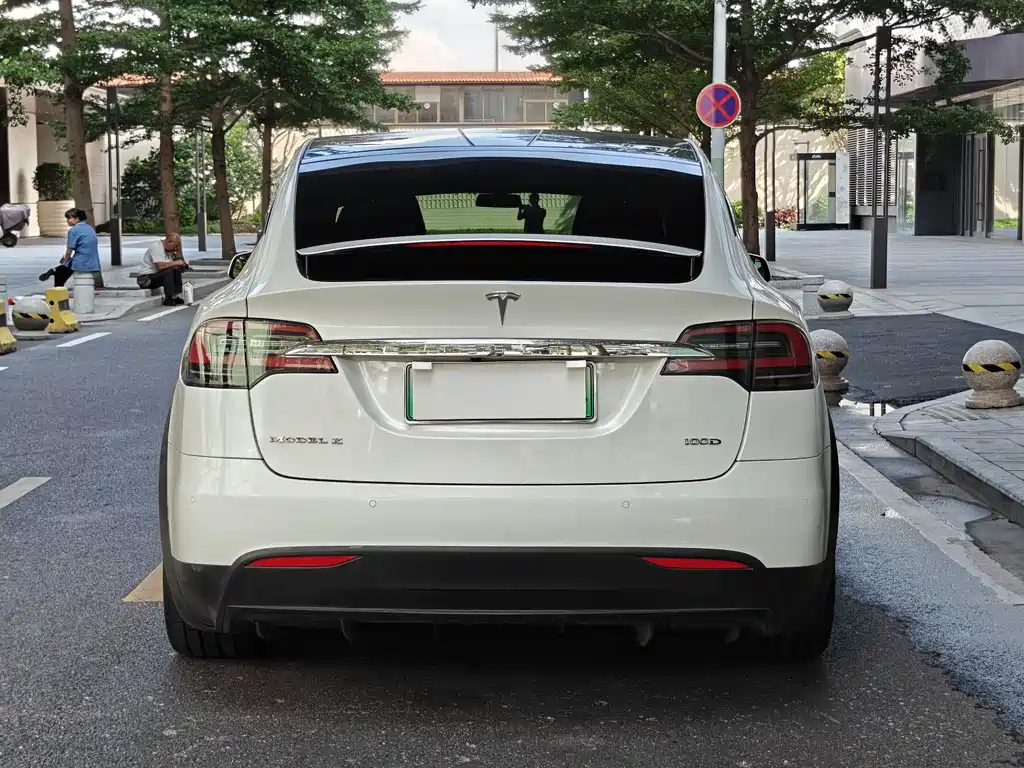 Tesla Model X 2017 — фото 5