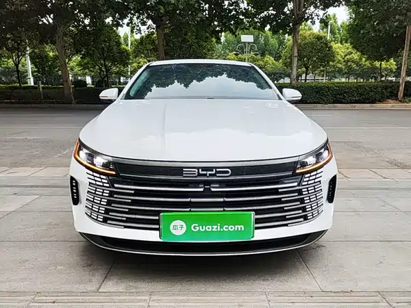 BYD Destroyer 05 2024