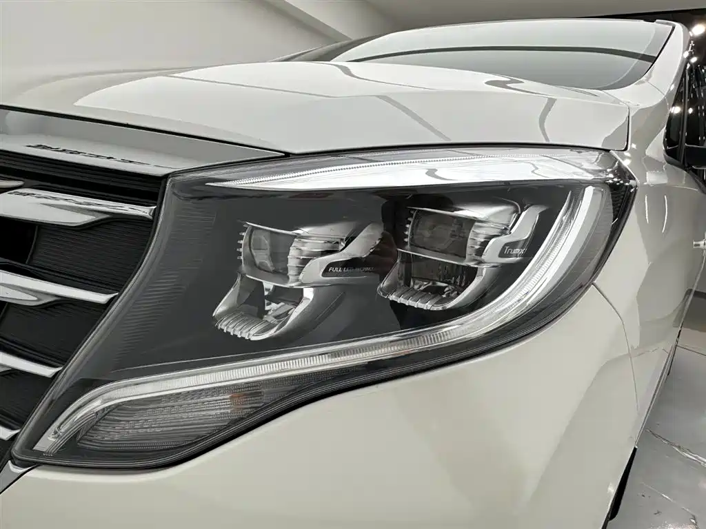 GAC Motor Trumpchi M8 2019 — фото 29