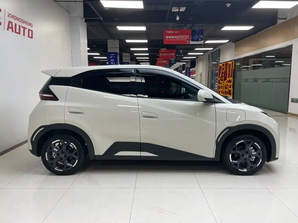 BYD Seagull 2025