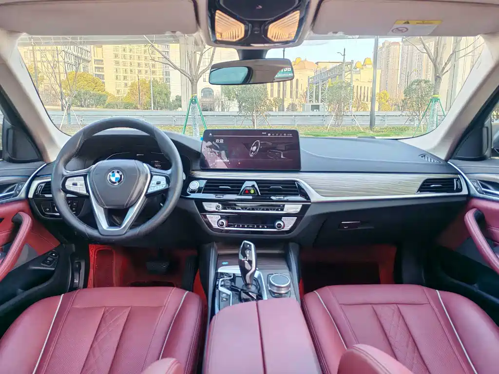 BMW 5 Series New Energy 2020 — фото 10