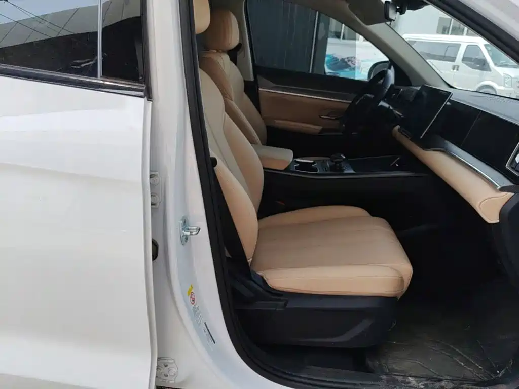 BYD Song Pro New Energy 2025 — фото 25