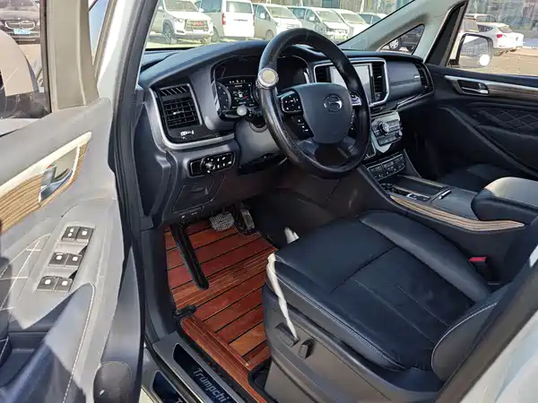 GAC Trumpchi M8 2020