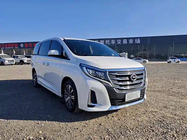 GAC Trumpchi M8 2020