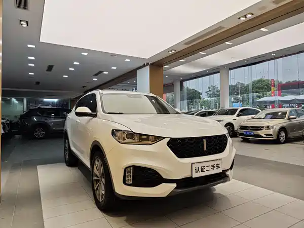 Wey VV6 2018