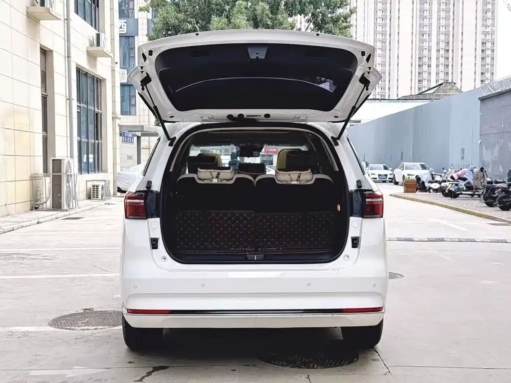 BYD Song MAX New Energy 2022 — фото 19